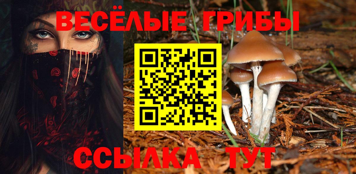 Псилоцибиновые грибы мухоморы Фролово