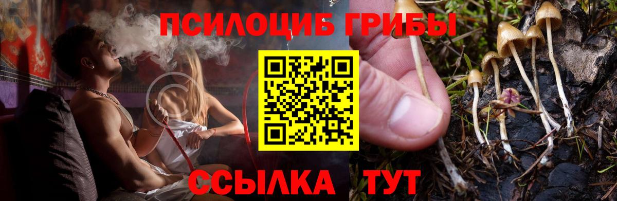 Галлюциногенные грибы мухоморы  Галлюциногенные грибы Magic Shrooms  Фролово  Вход с VPN 